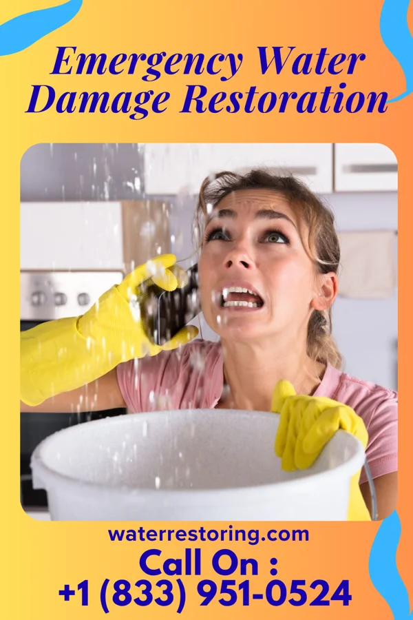 Emergency Water Damage Restoration in Milford, IL