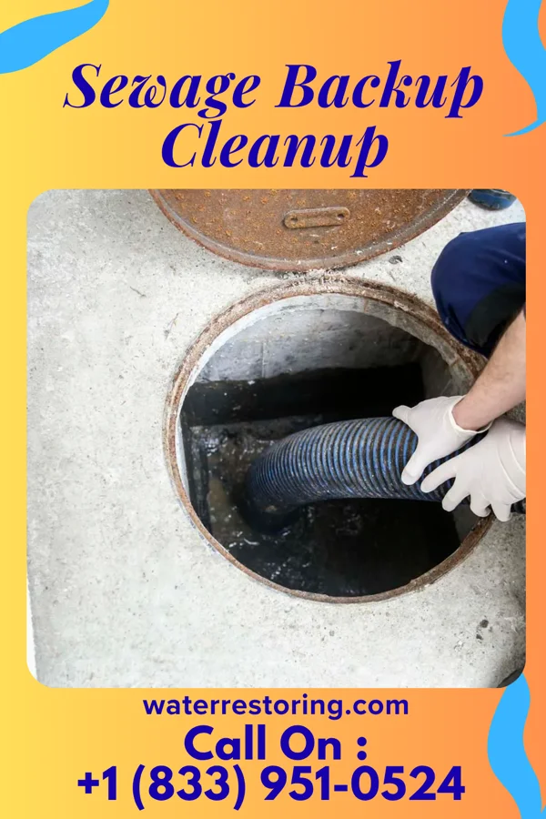 Sewage Backup Cleanup in Milford, IL