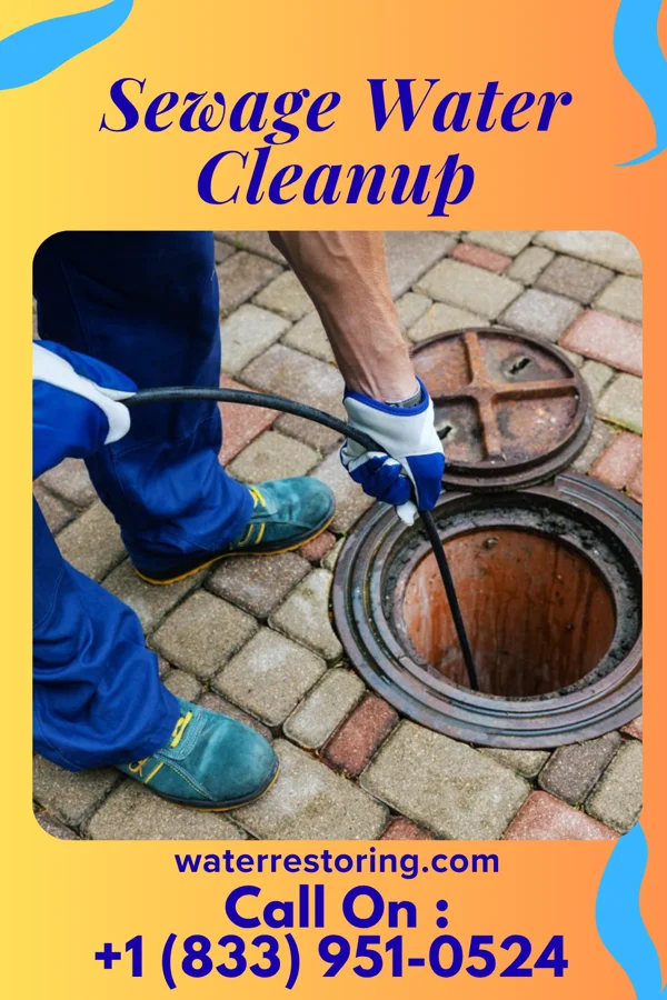 Sewage Water Cleanup in Milford, IL